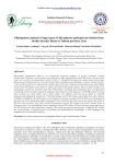 Phylogenetic analysis of mgc2 gene of Mycoplasma gallisepticum