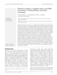 Mutational analysis of eggplant latent viroid RNA processing in