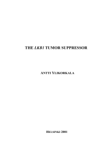 the lkb1 tumor suppressor - E