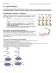 131: The Genetic Material