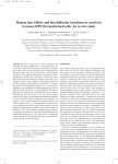 Human hair follicle and interfollicular keratinocyte reactivity to