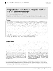 Phagocytosis: a repertoire of receptors and Ca as a key second