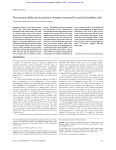 The normal cellular prion protein is strongly expressed by myeloid