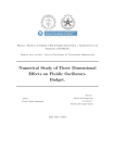 Numerical Study of Three Dimensional Effects on