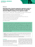 Expanded roles of leucine-responsive regulatory protein in