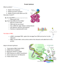 Protein Synthesis - Madison County Schools