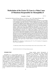 Methylation of the Factor IX Gene is the Main Source of Mutations