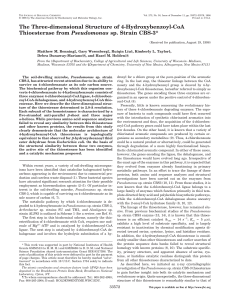 The Three-dimensional Structure of 4-Hydroxybenzoyl