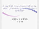 A new DNA computing model for the NAND gate based on induced