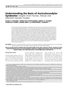 Understanding the basis of auriculocondylar syndrome: Insights