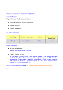 Ab to glomerular basement membrane