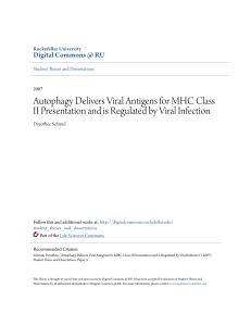 Autophagy Delivers Viral Antigens for MHC Class II Presentation