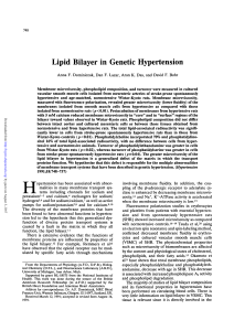 Lipid Bilayer in Genetic Hypertension