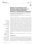 Deletion of Lipoteichoic Acid Synthase Impacts