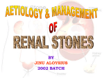 Renal Stones.pps