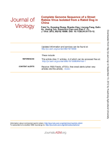 China Rabies Virus Isolated from a Rabid Dog in Complete Genome