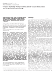 Clearance mechanism of a mannosylated antibody–enzyme fusion