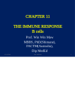 3. Immune Response B cells 4.10.16.ppt
