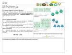 Dehydration Synthesis