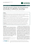 Thyroid hormones enhance the biomechanical functionality of