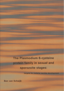 The Plasmodium 6-cysteine protein family in sexual and sporozoite