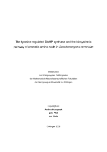 The tyrosine regulated DAHP synthase and the biosynthetic