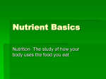 Nutrient Basics