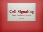 Cell Signaling - Erlenbeck`s Science Room