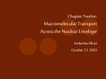 Chapter Twelve: Macromolecular Transport Across the Nuclear