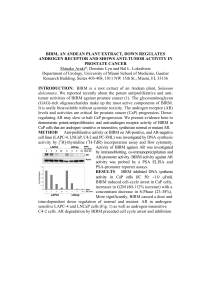 BIRM, AN ANDEAN PLANT EXTRACT, DOWN REGULATES
