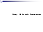 Protein - UML Computer Science