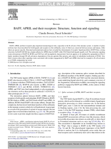 BAFF, APRIL and their receptors: Structure, function - Serval