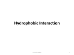 hydrophobic interaction chromatography.
