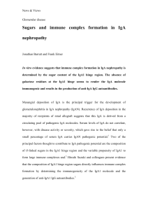 Immune complex formation in IgA nephropathy