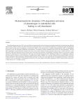 Melanotransferrin stimulates t-PA