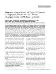 Fluorescent Antigen–Transfected Target Cell Cytotoxic T