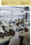 Dried Beans in Ethiopia: increasing food