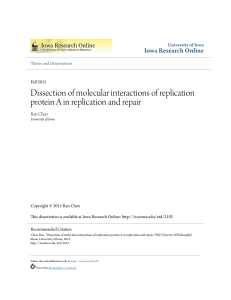 Dissection of molecular interactions of replication protein A in