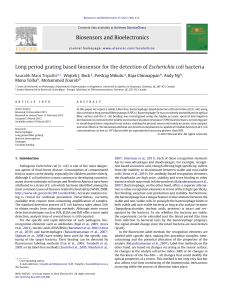 Long period grating based biosensor for the detection of Escherichia