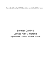 Appendix 2: Bromley CAMHS specialist mental health LAC team