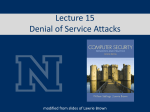 Denial of Service Attacks - Computer Science and Engineering