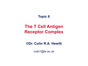 T cell antigen receptor diversity Generation of