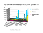 TE content correlates positively with genome size