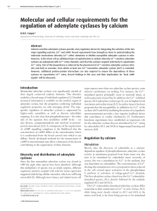 Molecular and cellular requirements for the