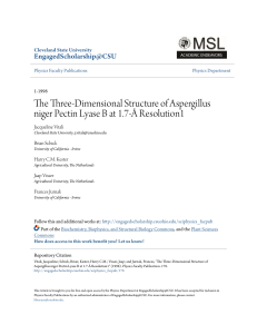 The Three-Dimensional Structure of Aspergillus niger Pectin Lyase