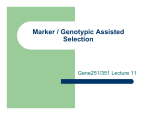 Genetic markers, marker assisted selection