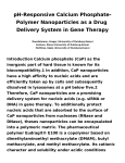 pH-Responsive Calcium Phosphate- Polymer Nanoparticles as a