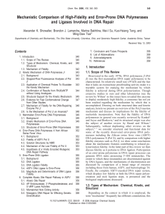 Mechanistic Comparison of High-Fidelity and Error