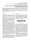 Analysis of the DNA microarray hybridization images using