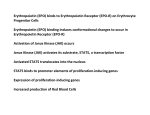 (rbc introduction strip sequence) Gulf Coast 2013